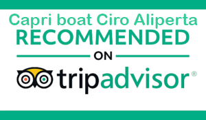 TRIPADVISOR